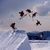 Snowbird Reviews
